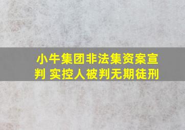 小牛集团非法集资案宣判 实控人被判无期徒刑